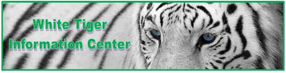 White Tiger Information Center